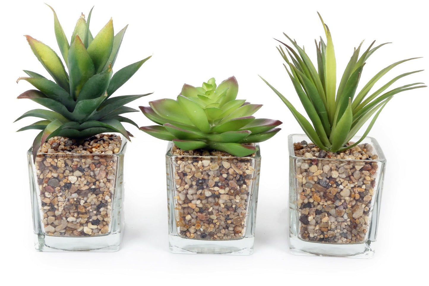 Set Of Three Faux Succulents In Glass Pots