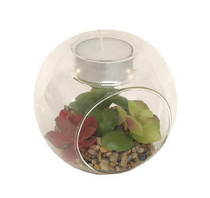 Succulent In Glass Terrarium with TeaLight Holder