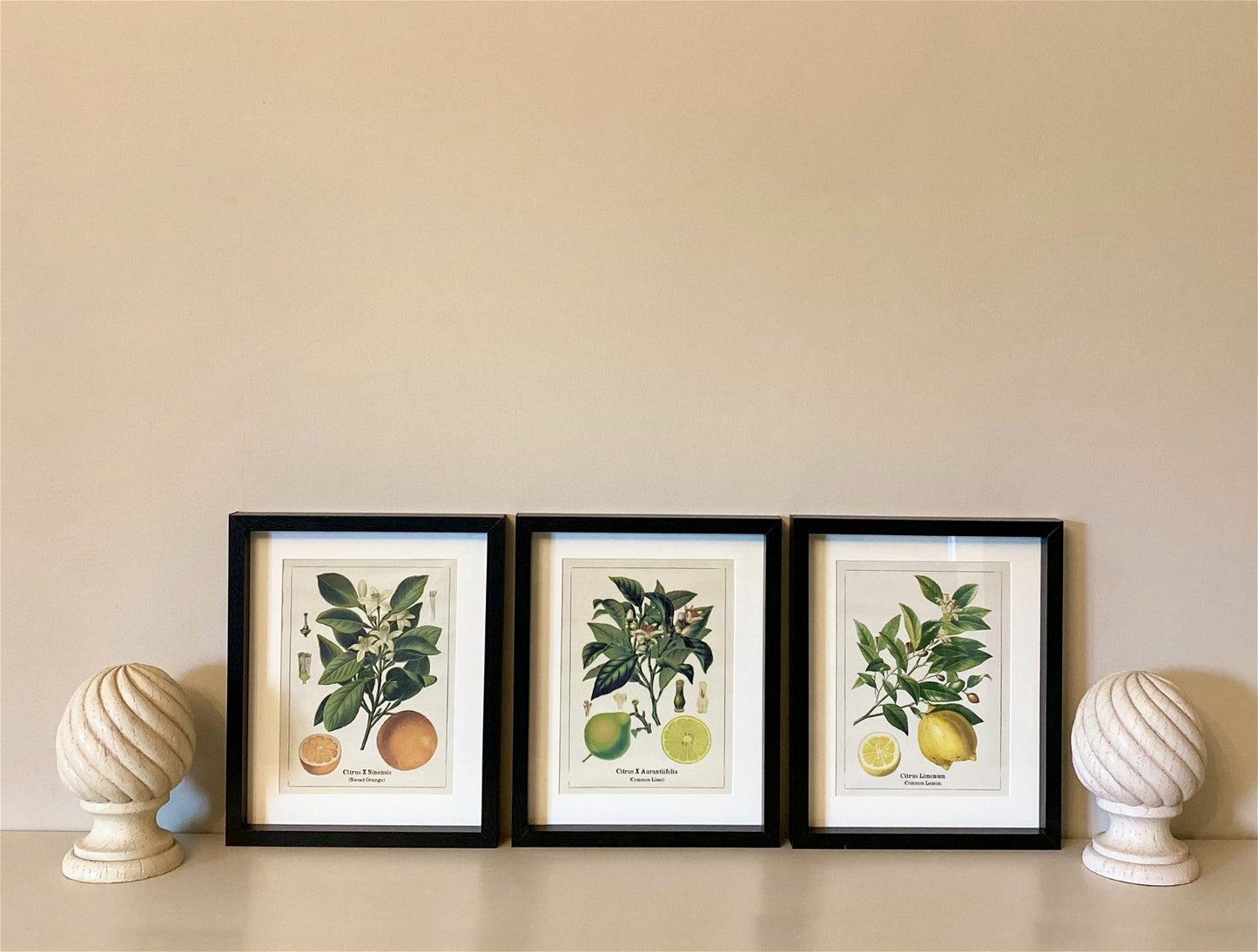 Set of Three Citrus Picture Frames