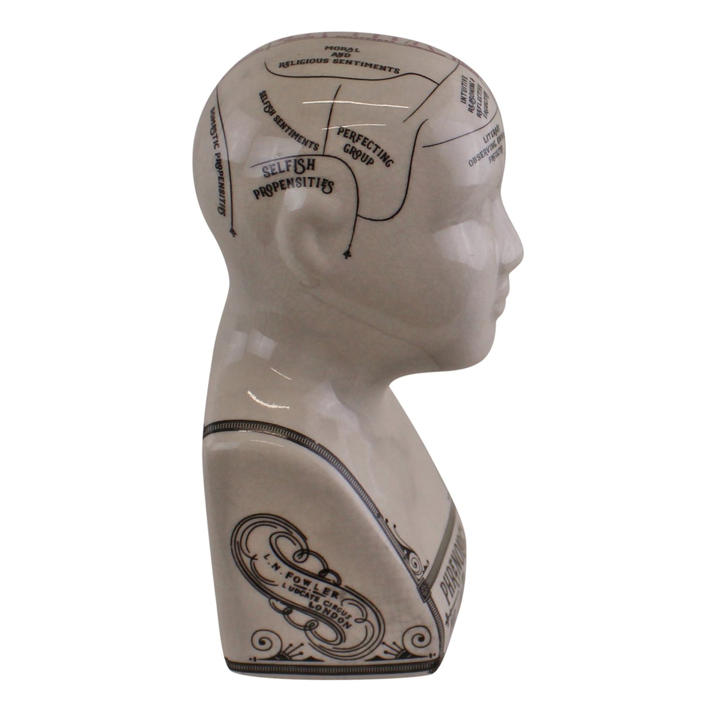 Small Ceramic Crackle Phrenology Head