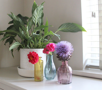 Set of Three Colour Glass Vases